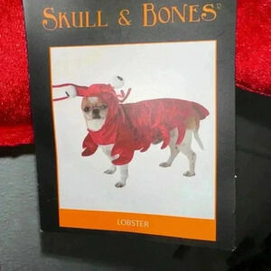 NWT! Skull & Bones Pet Costume Lobster Red M